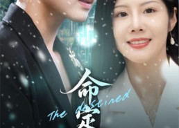 【命定之人】56集短剧全集免费畅快观看