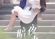 【暗夜情事】100集短剧在线完整观看