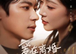 【爱在离婚冷静期】73集短剧全集在线畅享观看