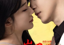 【岚心星辰】60集短剧免费在线畅快观