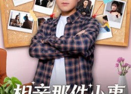 【相亲那件小事】82集短剧免费在线完整赏