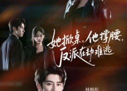 【她掀桌他撑腰反派在劫难逃】71集短剧免费在线看全集