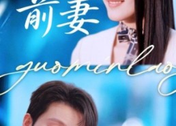【再追前妻】49集短剧在线观看完整资源