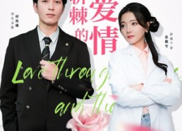 【披荆斩棘的爱情】90集在线短剧免费畅看