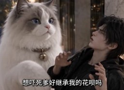 【我家猫三百斤给我吃破产了】55集精彩短剧免费观看