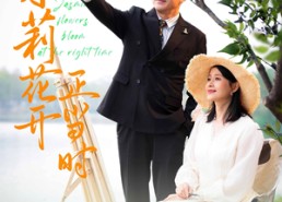 【茉莉花开正当时】80集短剧免费高清在线看