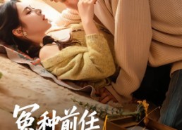 【冤种前任欢迎来到对抗路】70集短剧全集在线赏看