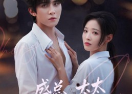 【盛总，太太只留孩子不留您】74集热门短剧免费在线看
