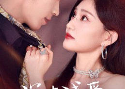 【深欢浅爱】80集短剧在线免费全集观