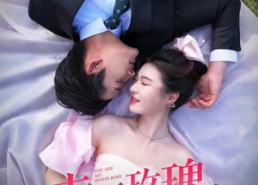 【幸运玫瑰，周先生超宠我】74集短剧免费在线观瞧