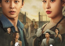 【灰欲人生】62集短剧全集免费在线观看无广告