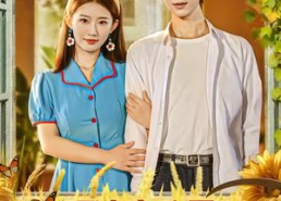 【顶流穿八零玄学种田拐科研大佬】71集免费短剧在线全集观