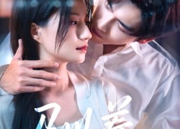 【驯养】96集短剧免费高清在线看