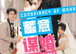 【蓄意谋婚】30集短剧免费高清在线观