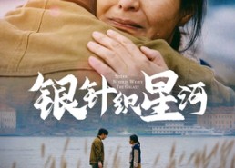 【银针织星河】62集短剧免费在线全集看