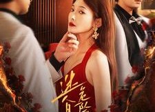 【迷人且危险的她】81集短剧在线完整版观看