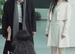 【男闺蜜】31集在线免费短剧完整看