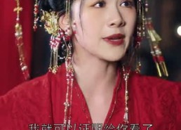 【纵使相逢应不识】91集短剧免费在线全观看