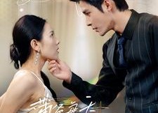 【薄爷每天都想转正】99集短剧在线免费观全