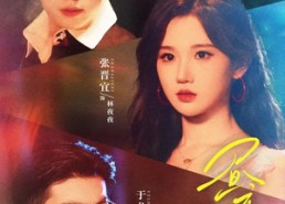 【昼夜回响】76集短剧免费高清在线观看