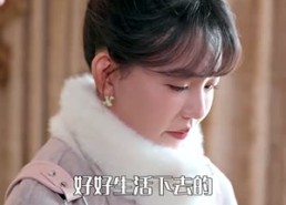 【故纸无声】61集短剧全集免费在线追看