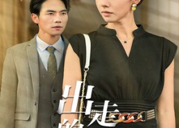 【出走的决心】29集短剧完整版免费看