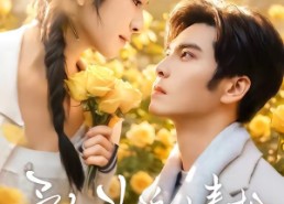 【予你玫瑰与青松】95集短剧在线免费高清观看