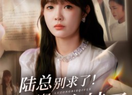 【陆总别求了夫人已经再婚有娃了】55集免费短剧在线观看全集