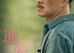 【逝爱难寻】76集免费短剧在线流畅播放