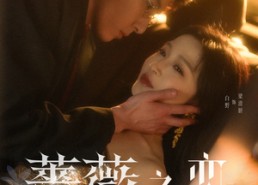 【蔷薇之恋】82集短剧免费完整版观看