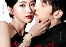 【许你耀眼】84集短剧免费全集追看