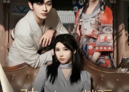 【陆夫人来自苗疆】70集短剧免费全集赏看