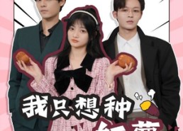 【穿书后，我只想种红薯】93集短剧免费看全集