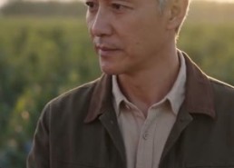 【儿媳要房我要果园，冰雹来了见分晓】33集短剧在线免费追看