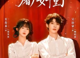 【顾总他栽在屠户女手里了】62集短剧免费畅享观看