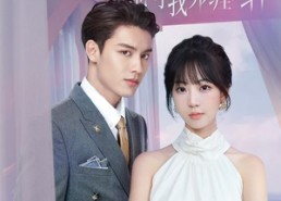 【离婚后，周律师他对我死缠烂打】107集免费短剧全集速看