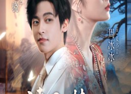 【清风入梦书音自来】83集短剧在线免费观全