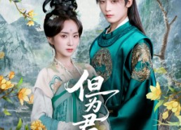 【但为君故】59集短剧免费全集轻松看