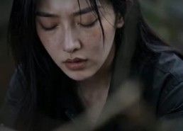 【瓷骨匠心】33集精彩短剧在线播