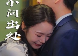 【英雄不问出处】34集精彩短剧免费观览