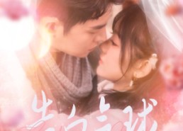 【告白气球】94集短剧在线免费览