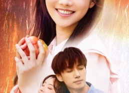 【玫瑰陷入火焰里】60集短剧免费全集网络观看