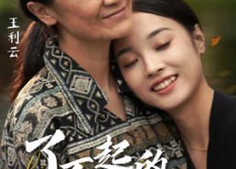 【了不起的妈妈】36集短剧在线免费全集畅看