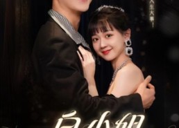 【白小姐人生开挂了】67集短剧免费全集乐看