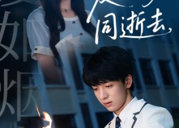 【爱如烟火同逝去】51集短剧完整版免费观瞧