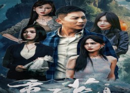 【重返荒岛】60集短剧免费全集畅快观看