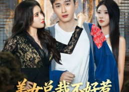 【美女总裁不好惹，小神医专治不服】80集短剧免费在线完整观看