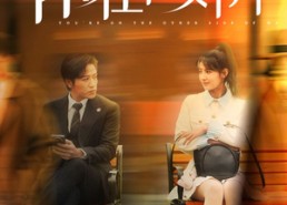 【你在我对岸】31集在线短剧免费畅看