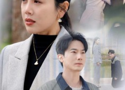 【旧爱成新欢】30集短剧免费在线品看