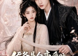 【侯爷是个恋爱脑，我想退婚太难了】55集短剧全集免费观映